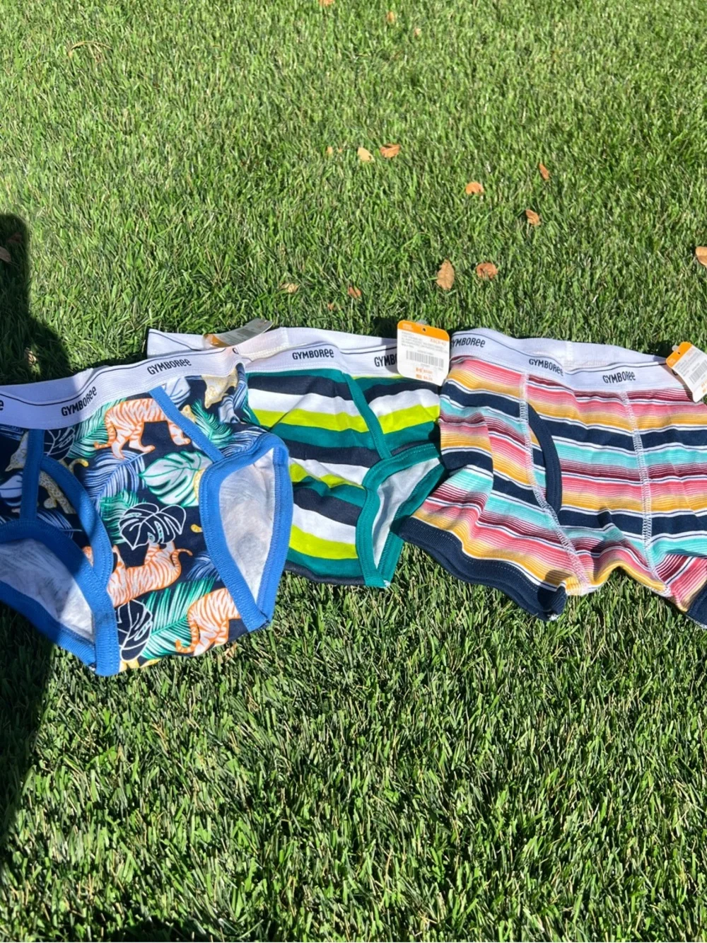 Gymboree Boys' Blue, Green & Multi-Striped Briefs Set XS (3-4)